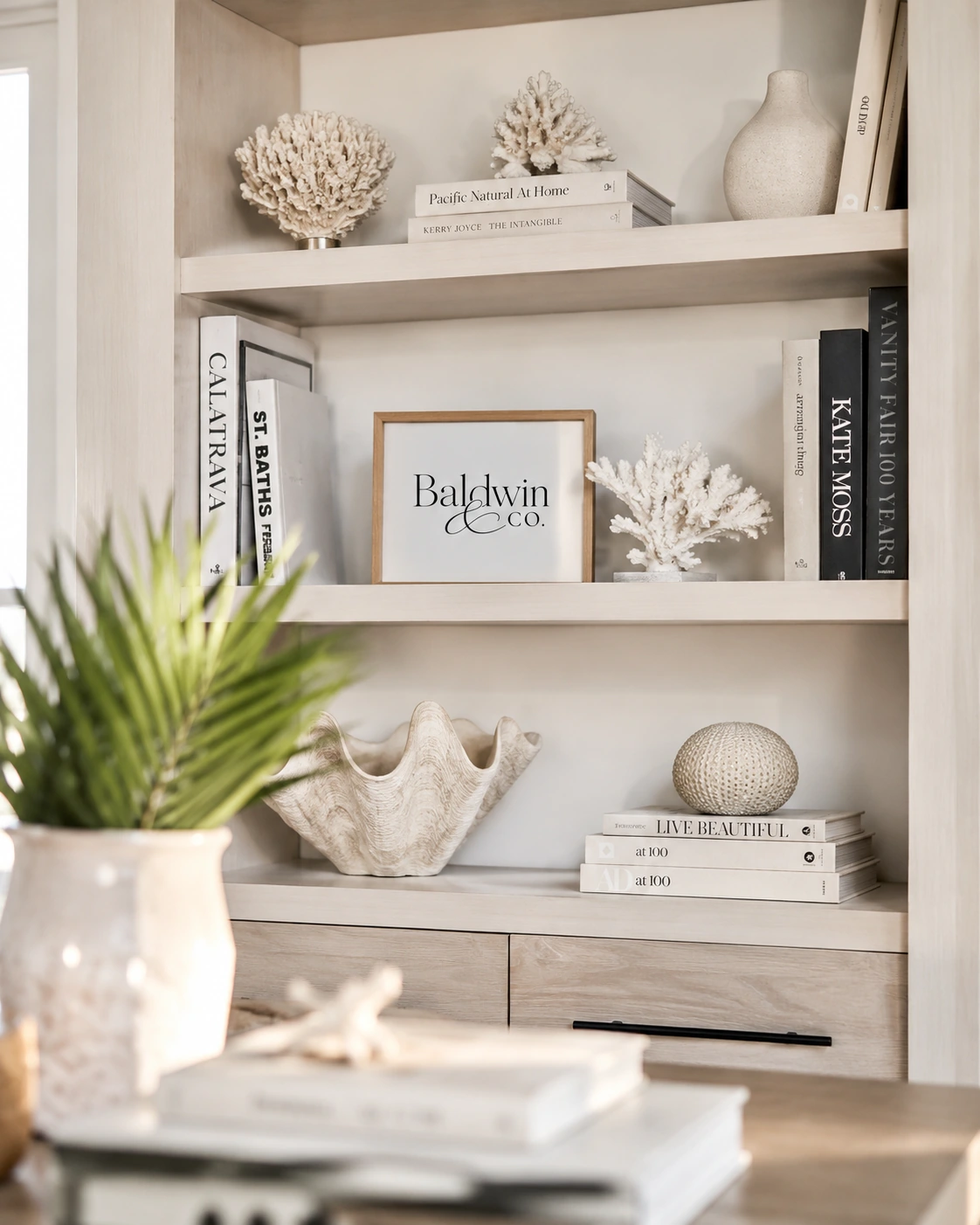 Shelves with books, coral, and framed Baldwin & Co. branding