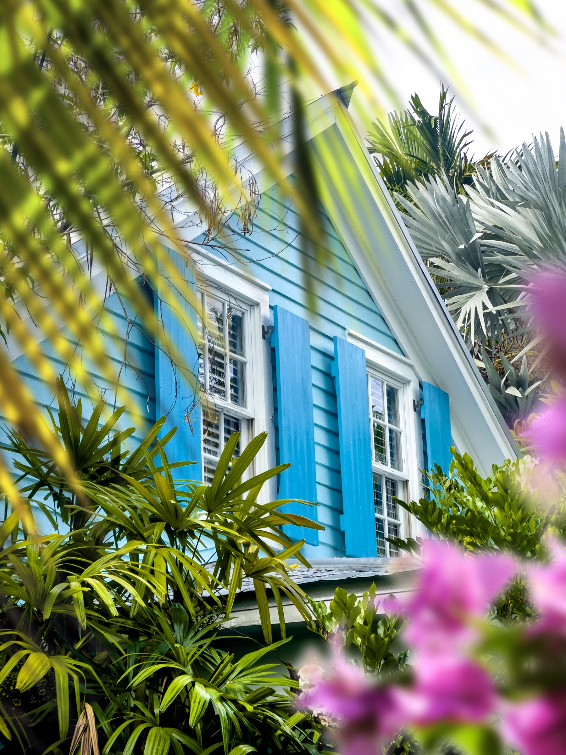 Turquoise Keys home with blue shutters framed by tropical garden